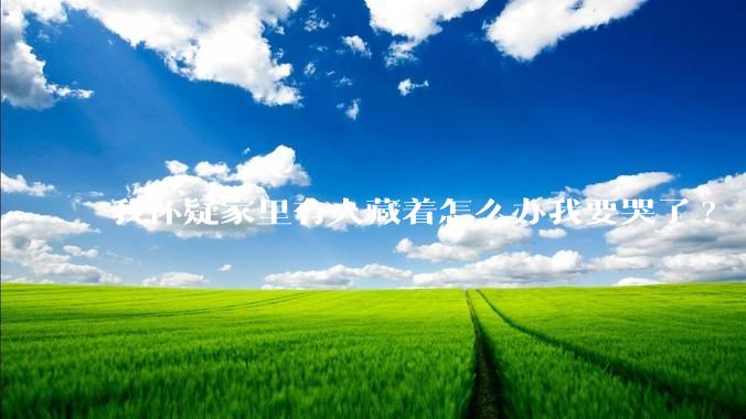 我怀疑家里有人藏着怎么办我要哭了?